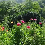 Дом отдыха Avec Terrasse Et Wifi Au Puy-en-velay - Fr-1-582-331 *