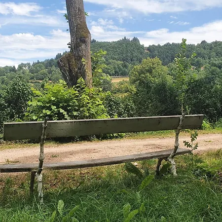 Avec Terrasse Et Wifi Au Puy-en-velay - Fr-1-582-331 Feriehus