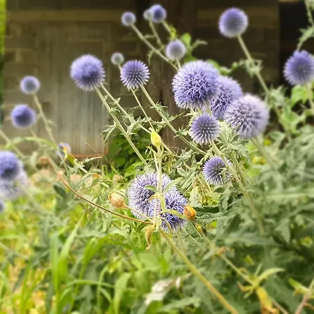 Avec Terrasse Et Wifi Au Puy-en-velay - Fr-1-582-331