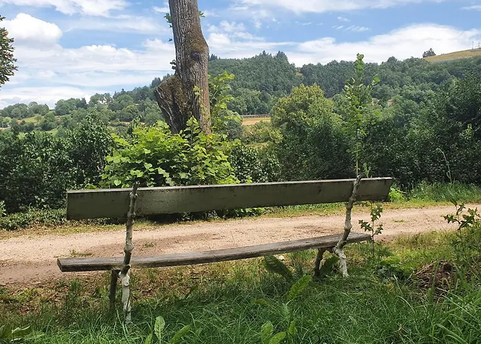 Le Puy-en-velay, 3 Pièces, 4 Personnes - Fr-1-582-331 Hébergement de vacances